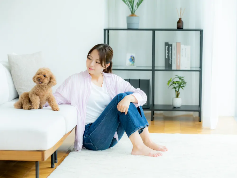 ペットのためのリノベーションとは？アイデアや費用・注意点